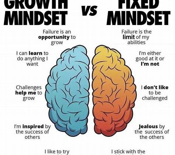 Fixed Mindset